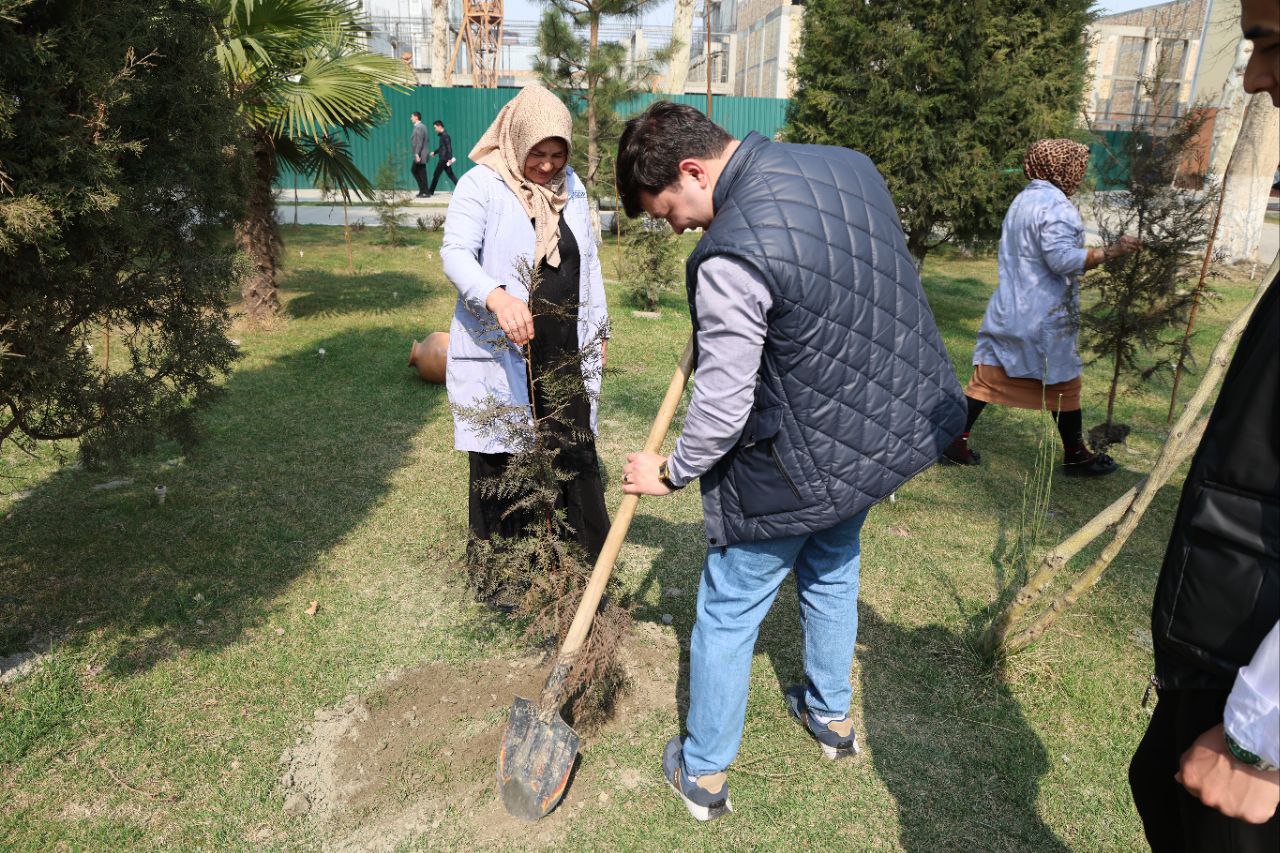 Yashil universitet faoliyati